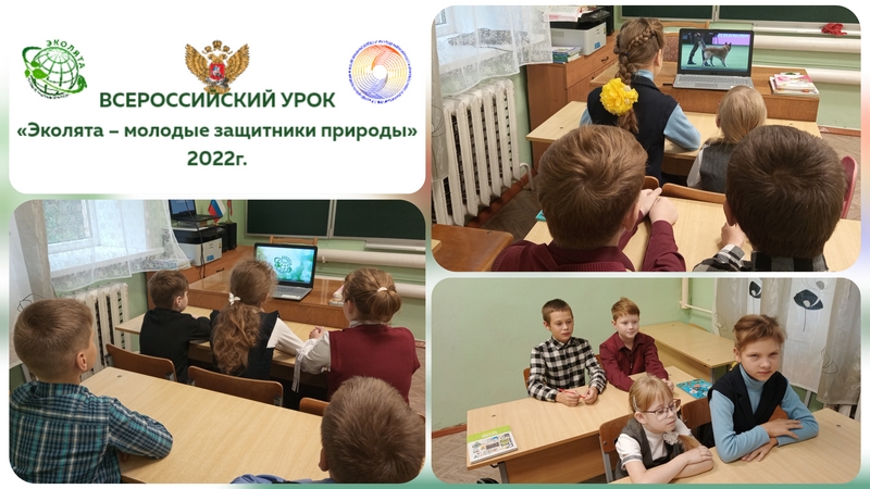 Всероссийский урок «Эколята-молодые защитники природы».