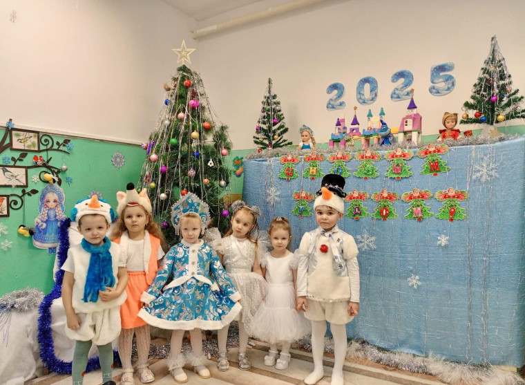 Проведен новогодний утренник.